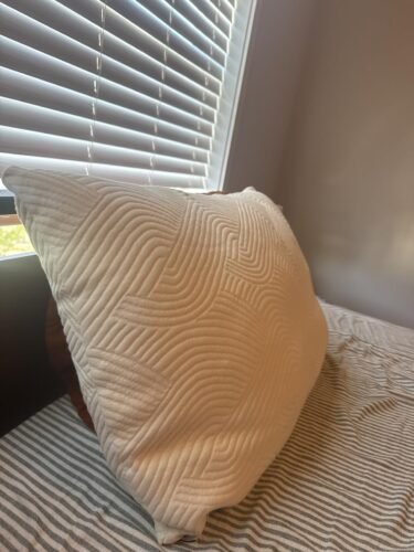 Coop Home Goods Adjustable Latex Pillow Queen. with Talalay Latex & Microfiber Fill. Best Pillows for Sleeping. Naturally Cooling. Eco-Friendly. Medium Firm Pillow for Back. Stomach or Side Sleepers photo review