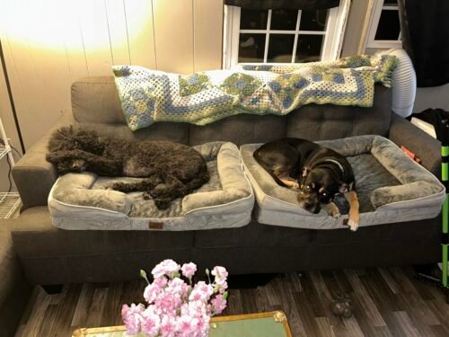 Bedsure Orthopedic Dog Beds Large Sized Dog - Washable Large Dog Cat Bed Waterproof. Comfort Dogs Couch Sofa with Washable Removable Cover. Pet Bed with Nonskid Bottom. Grey. 35 photo review