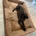 Bedsure Orthopedic Dog Beds Large Sized Dog - Washable Large Dog Cat Bed Waterproof. Comfort Dogs Couch Sofa with Washable Removable Cover. Pet Bed with Nonskid Bottom. Grey. 35 photo review