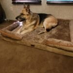 Bedsure Orthopedic Dog Beds Large Sized Dog - Washable Large Dog Cat Bed Waterproof. Comfort Dogs Couch Sofa with Washable Removable Cover. Pet Bed with Nonskid Bottom. Grey. 35 photo review