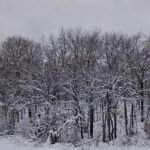 DJI Neo. Mini Drone with 4K UHD Camera for Adults. 135g Self Flying Drone that Follows You. Palm Takeoff. Subject Tracking. QuickShots. Stabilized Video. Built-In Propeller Guard (Controller-Free) photo review