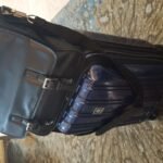 Delsey Luggage Aero 2 Piece Set (21 & 25) Spinner Suitcase (Titanium) photo review