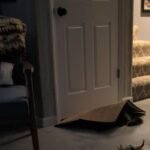 FUKUMARU Cat Scratcher Mat. 23.6 X 15.7 Inch Natural Sisal Cat Scratch Mats. Horizontal Cat Floor Scratching Pad Rug with Sticky Tapes. Protect Couch and Carpets photo review