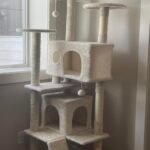 Yaheetech 54in Cat Tree. Multi-Level Cat Tower with Spacious Kitten-ear Perch. 2 Cozy Caves. Scratching Posts. Climbing Ladder. 2 Plush Balls. Durable Pet House Furniture for Indoor Kittens. Dark Gray photo review