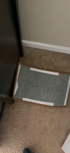 Greater Goods Digital Food Scale for Kitchen & Baking. 10kg/22lb High-Capacity Weight Scale with 1g Precision. Stainless Steel Platform. Hi-Def LCD. Ideal for Bread. Sourdough & Bulk Cooking photo review