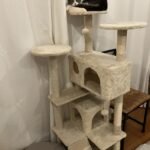 Yaheetech 54in Cat Tree. Multi-Level Cat Tower with Spacious Kitten-ear Perch. 2 Cozy Caves. Scratching Posts. Climbing Ladder. 2 Plush Balls. Durable Pet House Furniture for Indoor Kittens. Dark Gray photo review