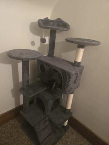 Yaheetech 54in Cat Tree. Multi-Level Cat Tower with Spacious Kitten-ear Perch. 2 Cozy Caves. Scratching Posts. Climbing Ladder. 2 Plush Balls. Durable Pet House Furniture for Indoor Kittens. Dark Gray photo review