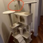 Yaheetech 54in Cat Tree. Multi-Level Cat Tower with Spacious Kitten-ear Perch. 2 Cozy Caves. Scratching Posts. Climbing Ladder. 2 Plush Balls. Durable Pet House Furniture for Indoor Kittens. Dark Gray photo review