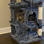 Yaheetech 54in Cat Tree. Multi-Level Cat Tower with Spacious Kitten-ear Perch. 2 Cozy Caves. Scratching Posts. Climbing Ladder. 2 Plush Balls. Durable Pet House Furniture for Indoor Kittens. Dark Gray photo review