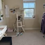 Yaheetech 54in Cat Tree. Multi-Level Cat Tower with Spacious Kitten-ear Perch. 2 Cozy Caves. Scratching Posts. Climbing Ladder. 2 Plush Balls. Durable Pet House Furniture for Indoor Kittens. Dark Gray photo review