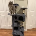 Yaheetech 54in Cat Tree. Multi-Level Cat Tower with Spacious Kitten-ear Perch. 2 Cozy Caves. Scratching Posts. Climbing Ladder. 2 Plush Balls. Durable Pet House Furniture for Indoor Kittens. Dark Gray photo review