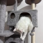 Yaheetech 54in Cat Tree. Multi-Level Cat Tower with Spacious Kitten-ear Perch. 2 Cozy Caves. Scratching Posts. Climbing Ladder. 2 Plush Balls. Durable Pet House Furniture for Indoor Kittens. Dark Gray photo review