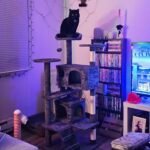 Yaheetech 54in Cat Tree. Multi-Level Cat Tower with Spacious Kitten-ear Perch. 2 Cozy Caves. Scratching Posts. Climbing Ladder. 2 Plush Balls. Durable Pet House Furniture for Indoor Kittens. Dark Gray photo review