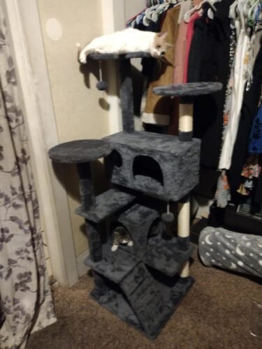 Yaheetech 54in Cat Tree. Multi-Level Cat Tower with Spacious Kitten-ear Perch. 2 Cozy Caves. Scratching Posts. Climbing Ladder. 2 Plush Balls. Durable Pet House Furniture for Indoor Kittens. Dark Gray photo review