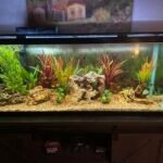 Jackery Portable Power Station Explorer 300. 293Wh Backup Lithium Battery. Solar Generator for Outdoors Camping Travel Hunting Blackout (Solar Panel Optional) photo review