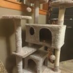 Yaheetech 54in Cat Tree. Multi-Level Cat Tower with Spacious Kitten-ear Perch. 2 Cozy Caves. Scratching Posts. Climbing Ladder. 2 Plush Balls. Durable Pet House Furniture for Indoor Kittens. Dark Gray photo review