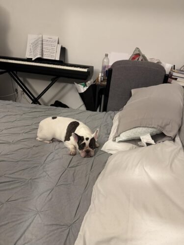 Intex 64447ED Dura-Beam Deluxe Ultra Plush Air Mattress with Headboard: Fiber-Tech – Queen Size – Built-in Electric Pump – 18in Bed Height – 600lb Weight Capacity photo review