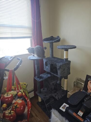 Yaheetech 54in Cat Tree. Multi-Level Cat Tower with Spacious Kitten-ear Perch. 2 Cozy Caves. Scratching Posts. Climbing Ladder. 2 Plush Balls. Durable Pet House Furniture for Indoor Kittens. Dark Gray photo review