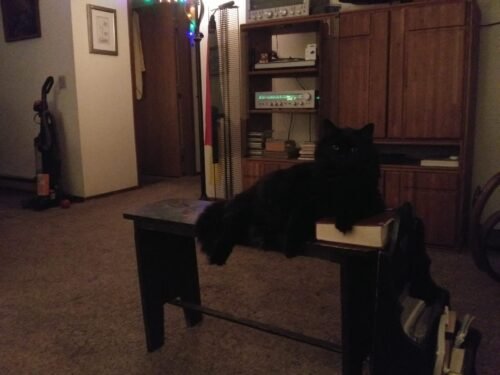 Greater Goods Digital Food Scale for Kitchen & Baking. 10kg/22lb High-Capacity Weight Scale with 1g Precision. Stainless Steel Platform. Hi-Def LCD. Ideal for Bread. Sourdough & Bulk Cooking photo review