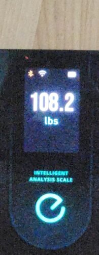 Greater Goods Digital Food Scale for Kitchen & Baking. 10kg/22lb High-Capacity Weight Scale with 1g Precision. Stainless Steel Platform. Hi-Def LCD. Ideal for Bread. Sourdough & Bulk Cooking photo review