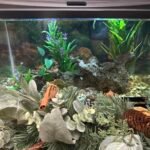 Jackery Portable Power Station Explorer 300. 293Wh Backup Lithium Battery. Solar Generator for Outdoors Camping Travel Hunting Blackout (Solar Panel Optional) photo review