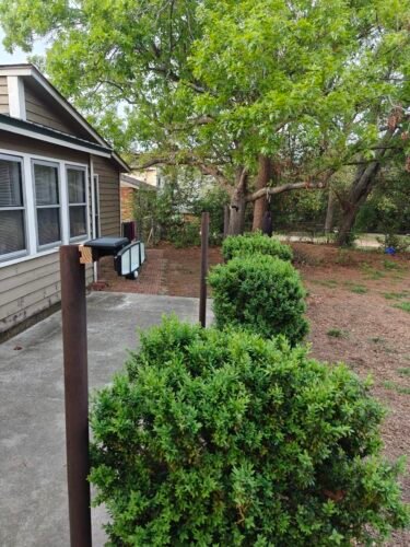 Tuffenough Solar Outdoor Lights 2500LM 210 LED Security Lights with Remote Control.3 Heads Motion Sensor Lights. IP65 Waterproof.270° Wide Angle Flood Wall Lights with 3 Modes(2 Packs) photo review