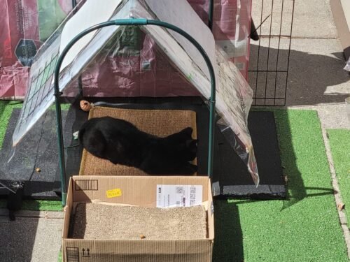 Greater Goods Digital Food Scale for Kitchen & Baking. 10kg/22lb High-Capacity Weight Scale with 1g Precision. Stainless Steel Platform. Hi-Def LCD. Ideal for Bread. Sourdough & Bulk Cooking photo review