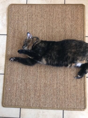 FUKUMARU Cat Scratcher Mat. 23.6 X 15.7 Inch Natural Sisal Cat Scratch Mats. Horizontal Cat Floor Scratching Pad Rug with Sticky Tapes. Protect Couch and Carpets photo review